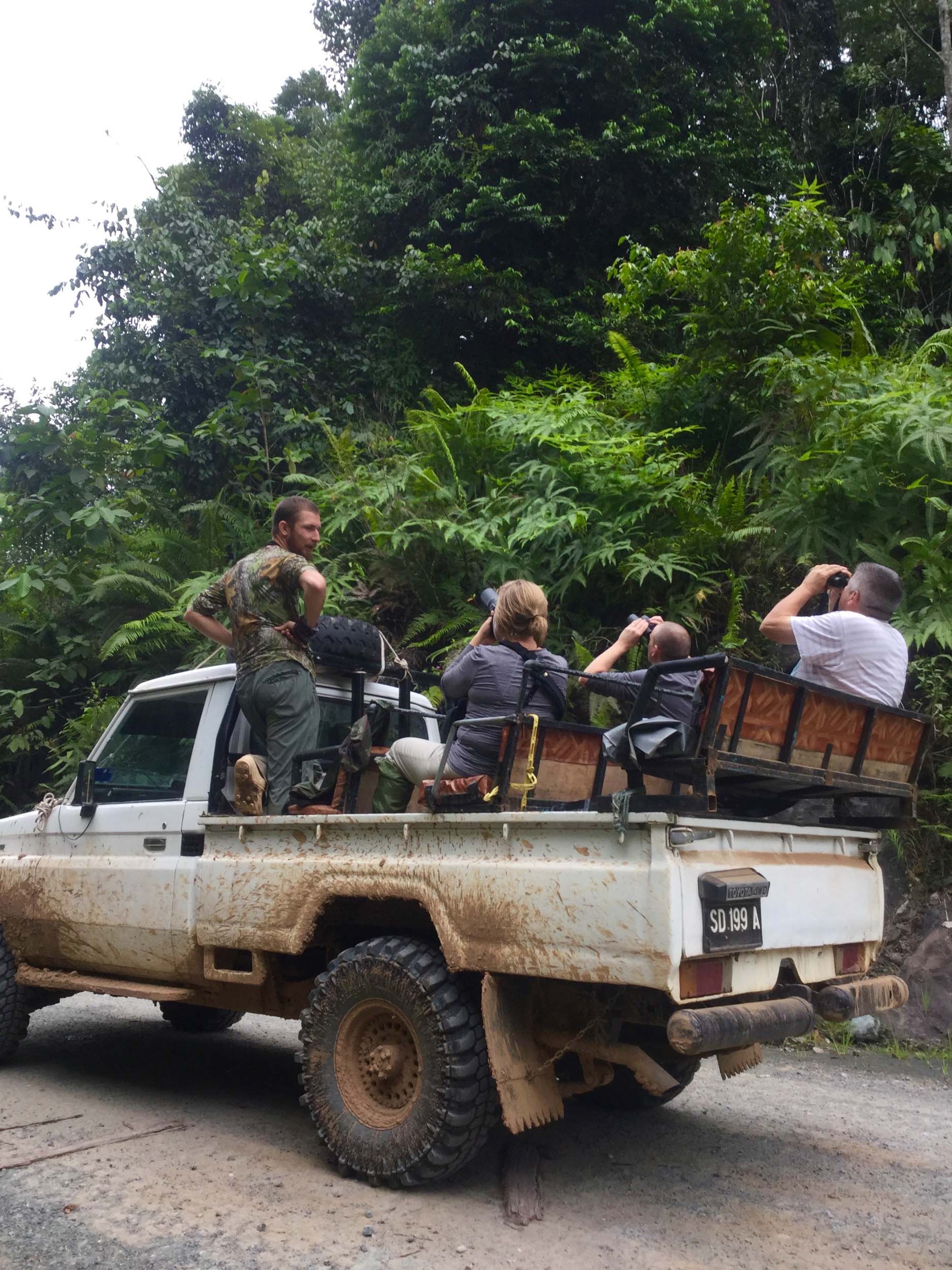 Natuurreis door Borneo: reisverslag